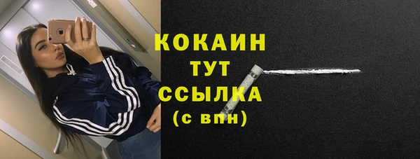 шишки Баксан
