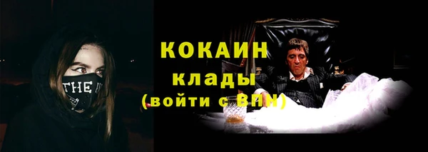 шишки Баксан