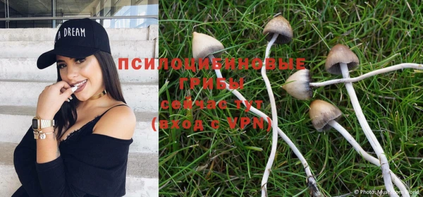 марки nbome Балабаново
