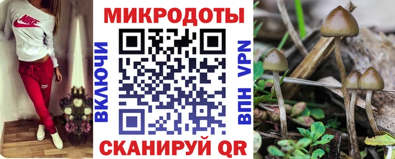 Купить закладки  Старая Купавна  Псилоцибиновые грибы MAGIC MUSHROOMS 